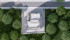 Dormix Top View.jpg